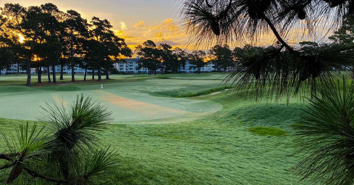 Two Years After Re-Birth, PineHillls Greens Are Everything Golfers Hoped For