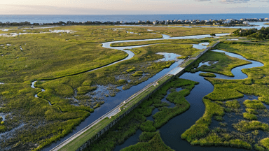 Pawleys Plantation 13 and 17 Tees